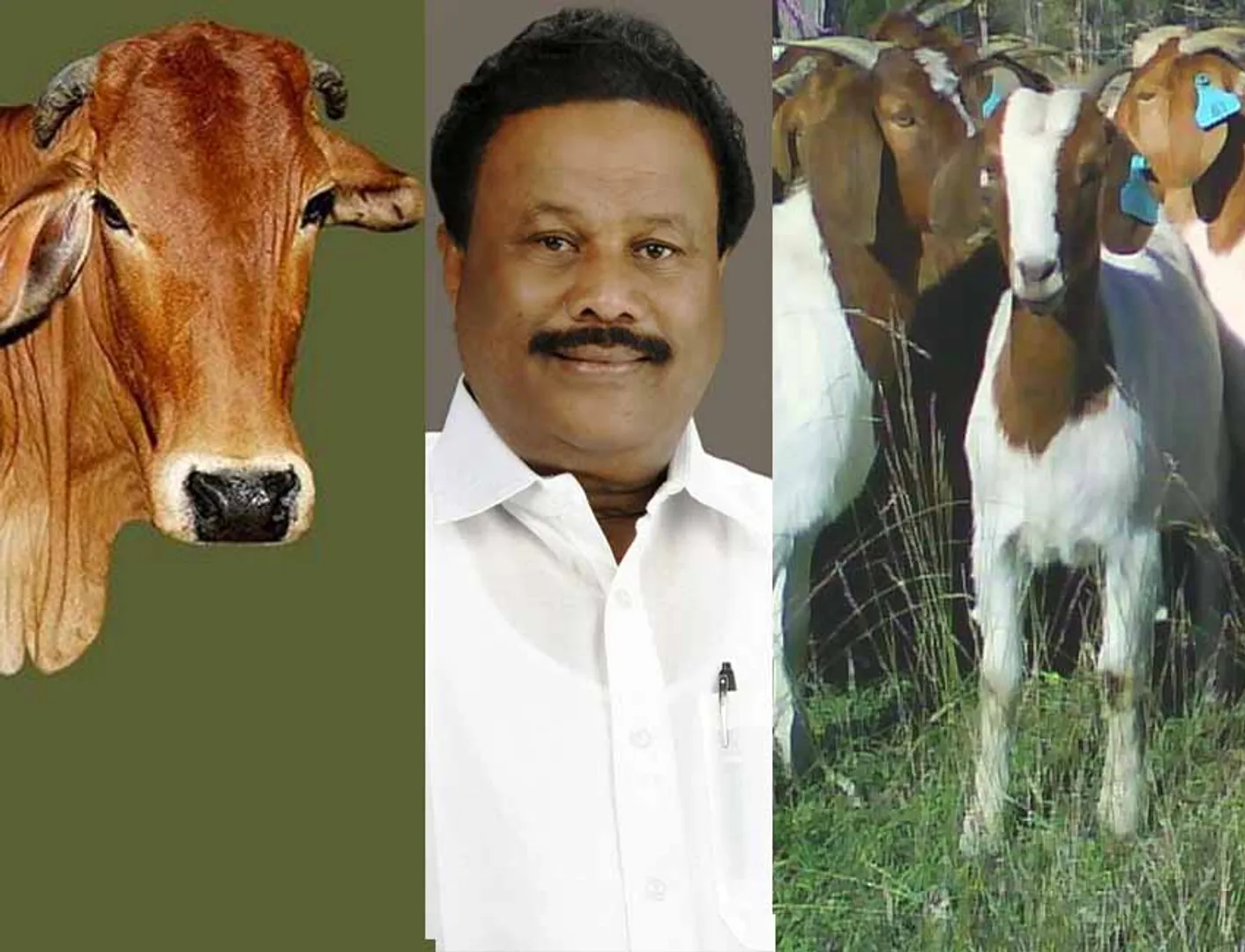 dindigul srinivasan